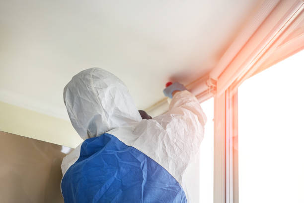 Mold Remediation for Vacation Homes in Aurora, TX